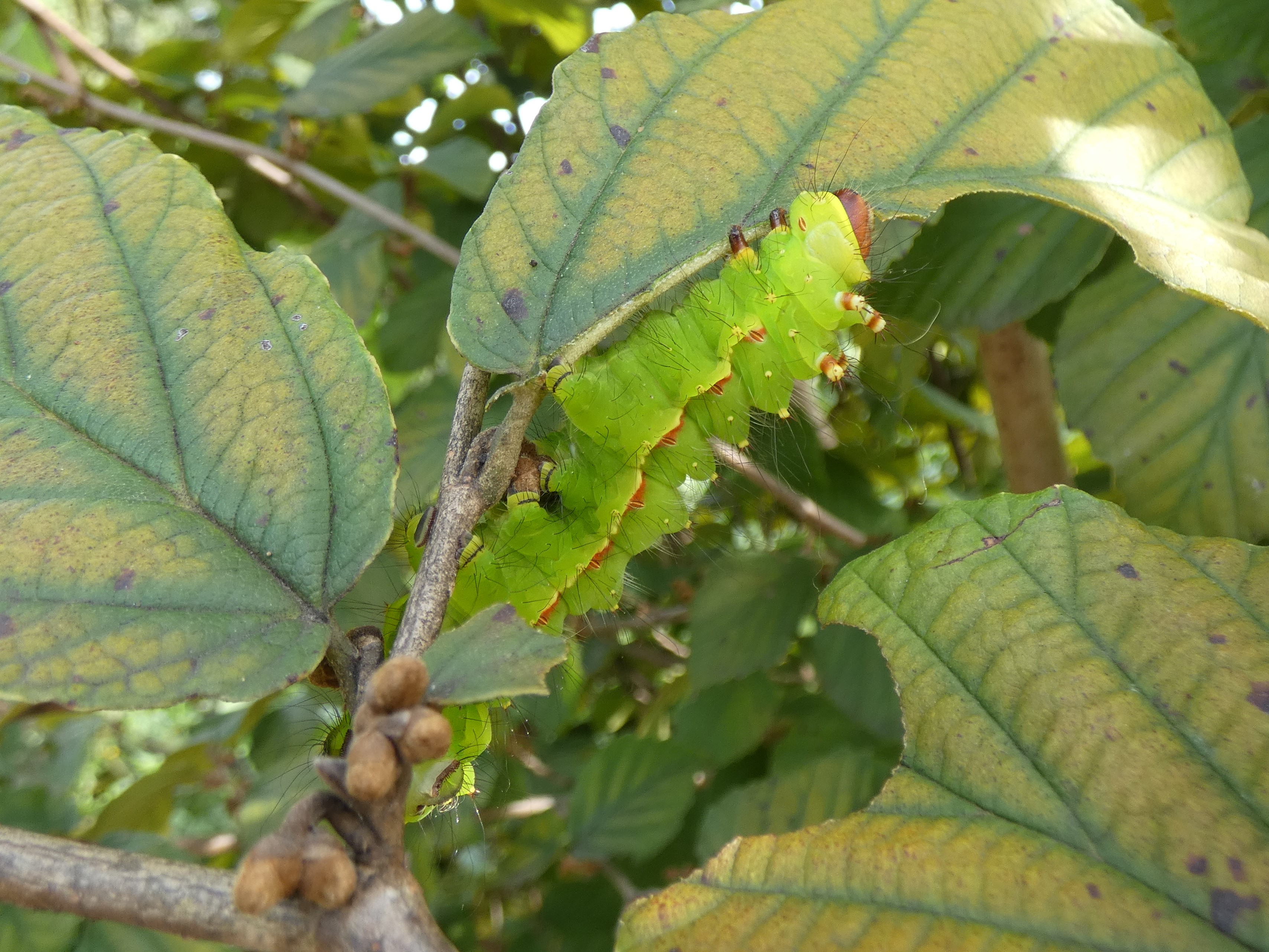 photo_5